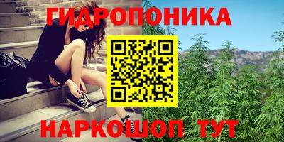 дурь Северобайкальск