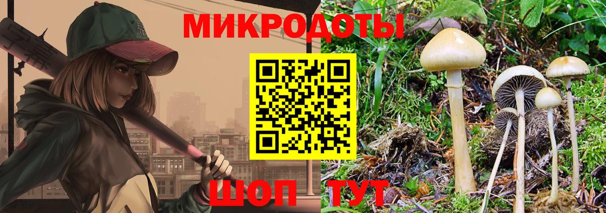 Галлюциногенные грибы Psilocybe Псков